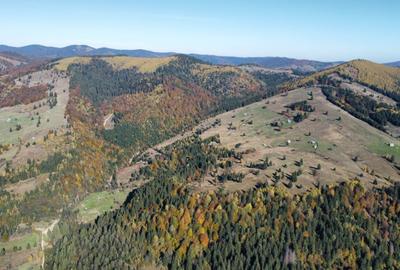 Vindem 80000 mp teren extravilan Bucovina - 3