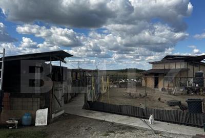 Casă cu 4 camere cu Teren 3018 Mp în Vest