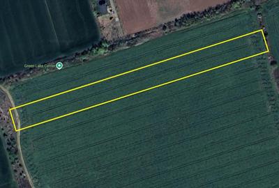 Teren Caciulati / 10.000 mp / D: 28 m / comision 0% Teren Caciulati / 10.000 mp / D: 28 m / comision 0% - 4