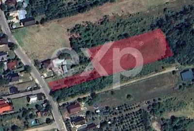 Teren Construcții de 5000 mp, în Dealu Viilor (Moșoaia) - 1