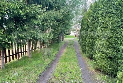 Casă cu 3 camere cu Teren 2460 Mp în Eremitu - 4
