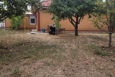 Casă individuală cu 4 camere cu Canalizare în Valu lui Traian - 36