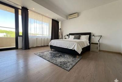 Apartament cu 3 camere decomandat în Iancu Nicolae - 5