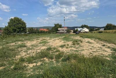 Spațiu comercial, în Bascov