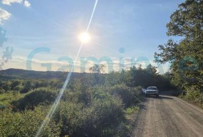 Teren de 2600 mp, în Central