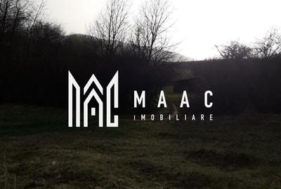 Spațiu comercial, în Râu Sadului - 6