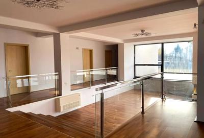 Spațiu comercial, de 650 mp, în Micălaca - 10