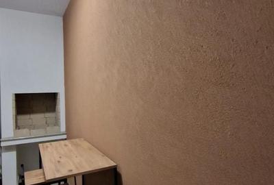 Apartament cu 2 camere decomandat, mobilat în Dumbrăvița - 19