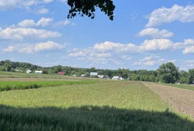 Teren extravilan, 4000mp, Fratautii vechi - 1