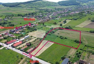 Teren de vanzare Blajel, jud. Sibiu | 15.360 mp - p... - 24