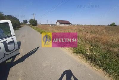 Teren de 1300 mp, în 1 Decembrie - 7