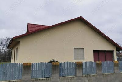 Vand casa in Sat Lanurile, Jud Braila - 3