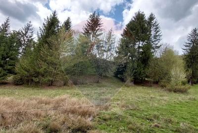 Teren agricol extravilan de 2800 mp, în Central - 9