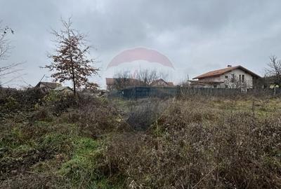 Teren intravilan de 1200 mp, în Satu Nou de Jos