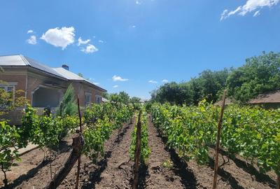 Casă cu 4 camere în Chirnogi - 7