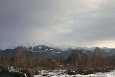 Teren de 2000 mp, în Central - 6