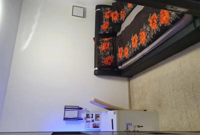 Apartament 1 camera + bucatarie open-space - 5