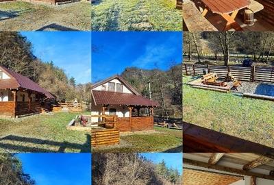 Casa de vacanță la munte - 1