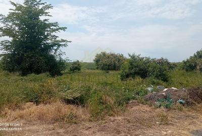 Loturi Teren Intravilan Popesti Leordeni -pod centura Loturi Teren Intravilan Popesti Leordeni -pod centura - 2