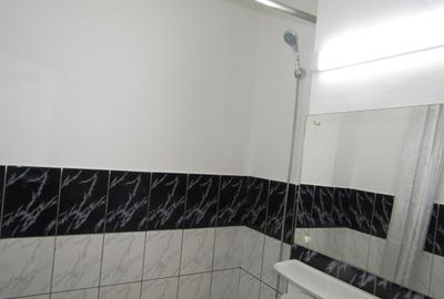 Garsonieră renovată de închiriat – Bulevardul Mihai Viteazul, Sibiu - 11