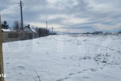 Spațiu comercial, în Buda - 2