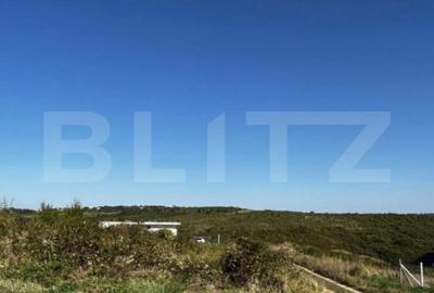 Teren de 2100 mp, în Podgoria