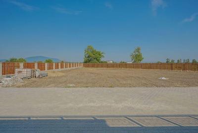 INCHIRIERE CASA FIRME - Teren 2000 mp Stupini - 5