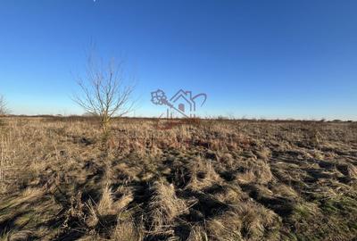 Teren agricol extravilan de 5000 mp, în Moșnița Veche - 2