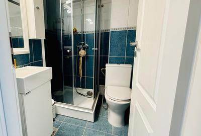 Apartament cu 2 camere semidecomandat, mobilat în Romană - 11