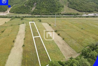 Teren Vorone? | Gura Humorului | Suceava - Bucovina - 28... - 3