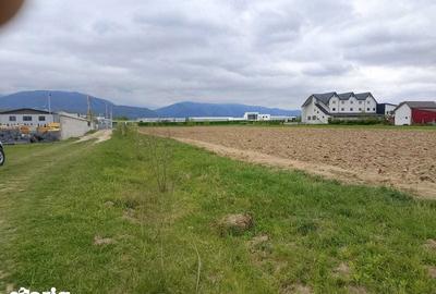 Teren de 7000 mp, în Central - 4