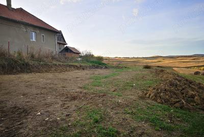 Teren de 2200 mp, în Deușu - 6