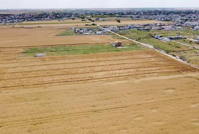 Teren Intravilan In Rate Sf. Ana - Com. Berceni | curent | #UG25 Teren Intravilan In Rate Sf. Ana - Com. Berceni | curent | #UG25 - 5