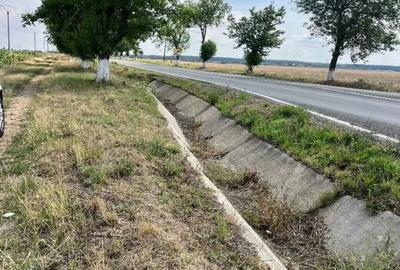 Teren de 28100 mp, în Gepiu - 3