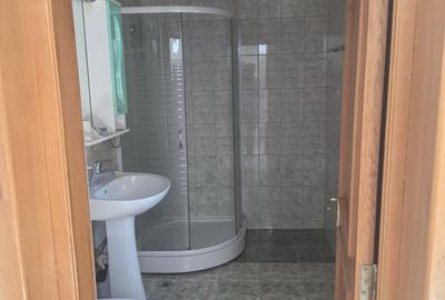 Apartament cu 2 camere semidecomandat, mobilat în Tineretului - 14
