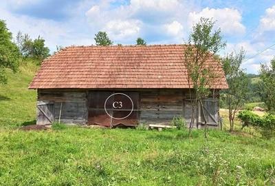 Teren agricol intravilan de 14368 mp, în Valea Bradului - 6