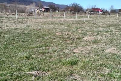 Teren agricol intravilan de 1000 mp, în Domnești - 3