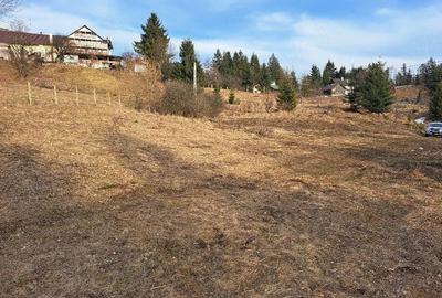 Teren de 18000 mp, în Prundu Bârgăului - 4