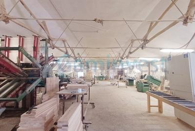 Spațiu industrial, de 1,290 mp, în Sălard - 12