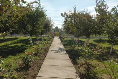 Casa+ teren zona Ci?mea Boto?ani - 2