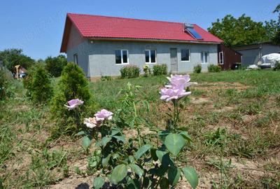 Casa cu teren 2700 mp la 22 km de Oradea - 1