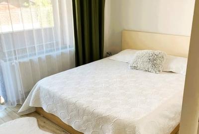 Apartament cu 2 camere decomandat în Moara de Vânt - 2