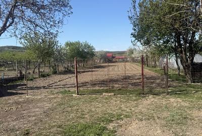 Casă cu 2 camere în Ineu - 3