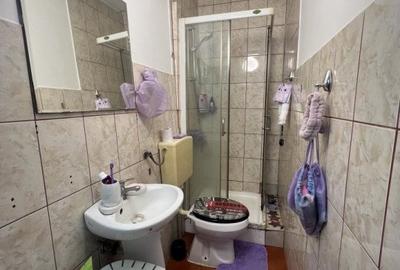 Apartament cu o camera de vanzare in zona Elisabetin - 4