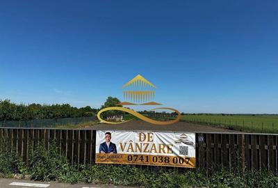 Teren de vanzare Filipesti Bacau 6838 mp - 14