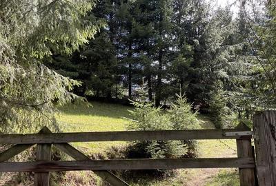 Spațiu comercial, în Central - 2