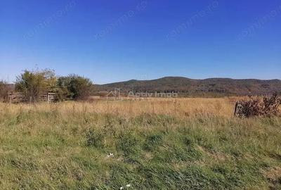 Teren intravilan 3000 mp constructii industriale - 2