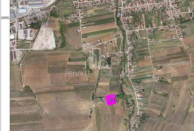 Teren, Albe?ti, str Podului - 7