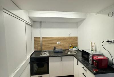 Vand vila cabana in Muntele Baisorii - 10