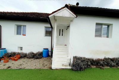 Inchiriere casa cocheta, situata in Tetila (Curti?oara Go - 3